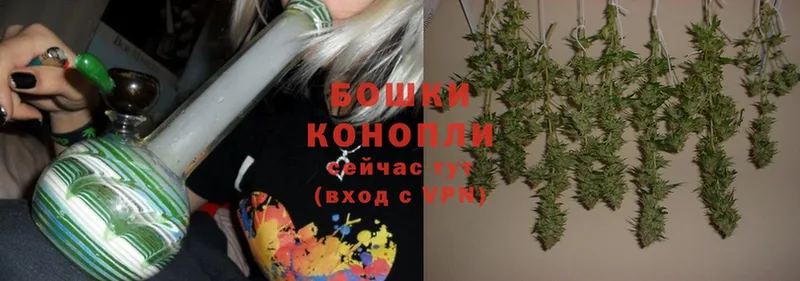 Шишки марихуана VHQ  blacksprut как войти  Волгореченск 